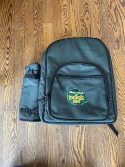 Vintage Disney Pixar A Bugs Life picnic at Ascot green backpack