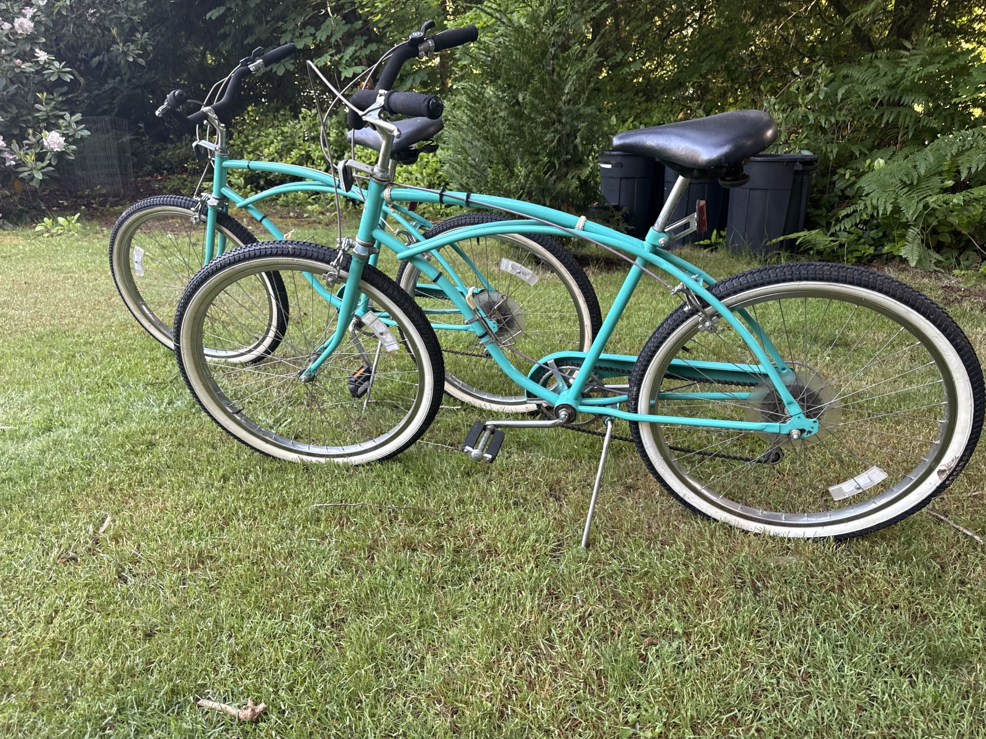 Pair Of Beach Cruisers