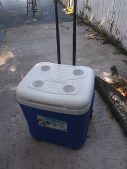 Cooler