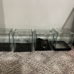 1 Gallon Frameless aquarium