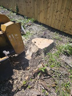 Stump Grinding 