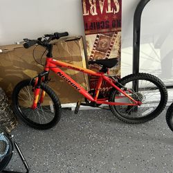 Boys Bike 20