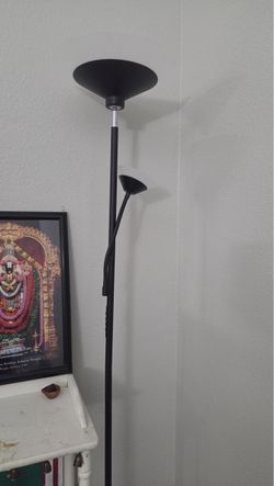 Floor lamp with light and remote, very less used and in mint condition .