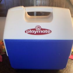 Playmate Cooler Blue & White