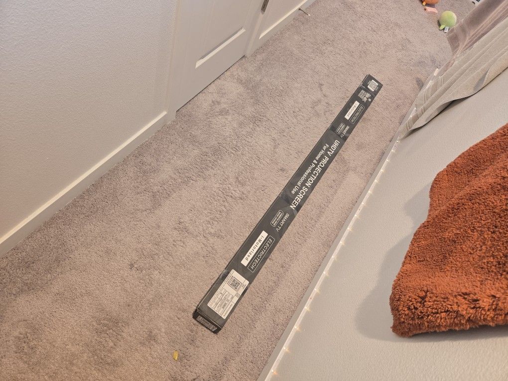 100IN Projector screen 