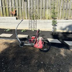 Weehoo Pull Bike For Shildren 