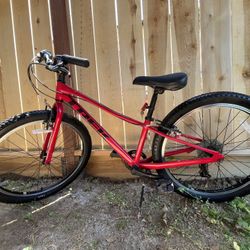 kids 24 8-speed trek bike