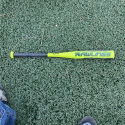 Youth Baseball Bat