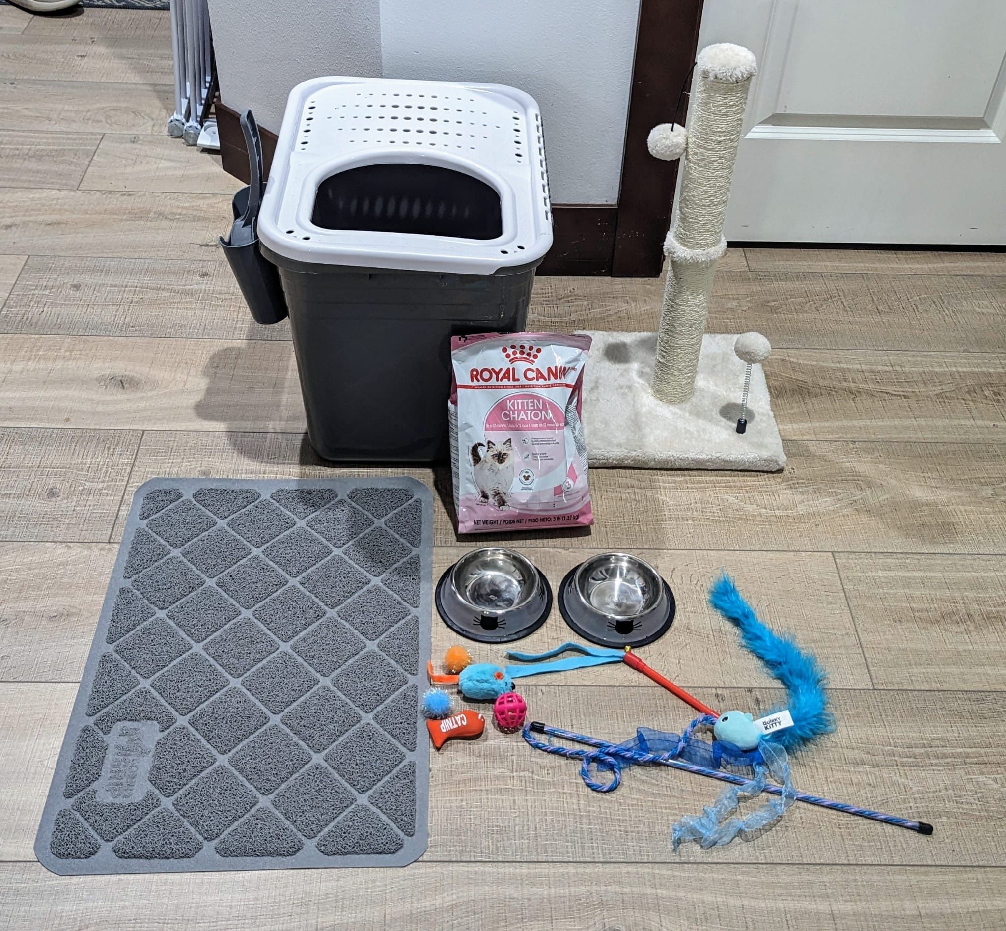 Cat Litter, Toys, Food, And Grooming Supplies