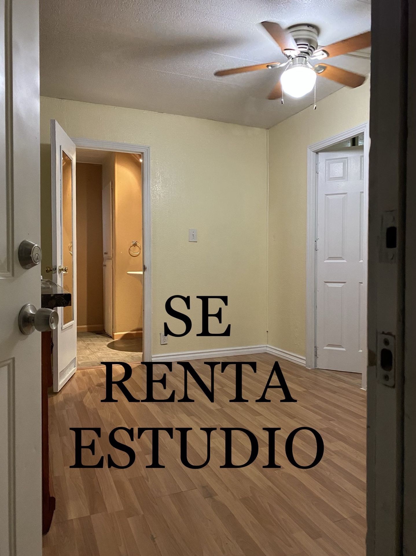 ESTUDIO DISPONIBLE