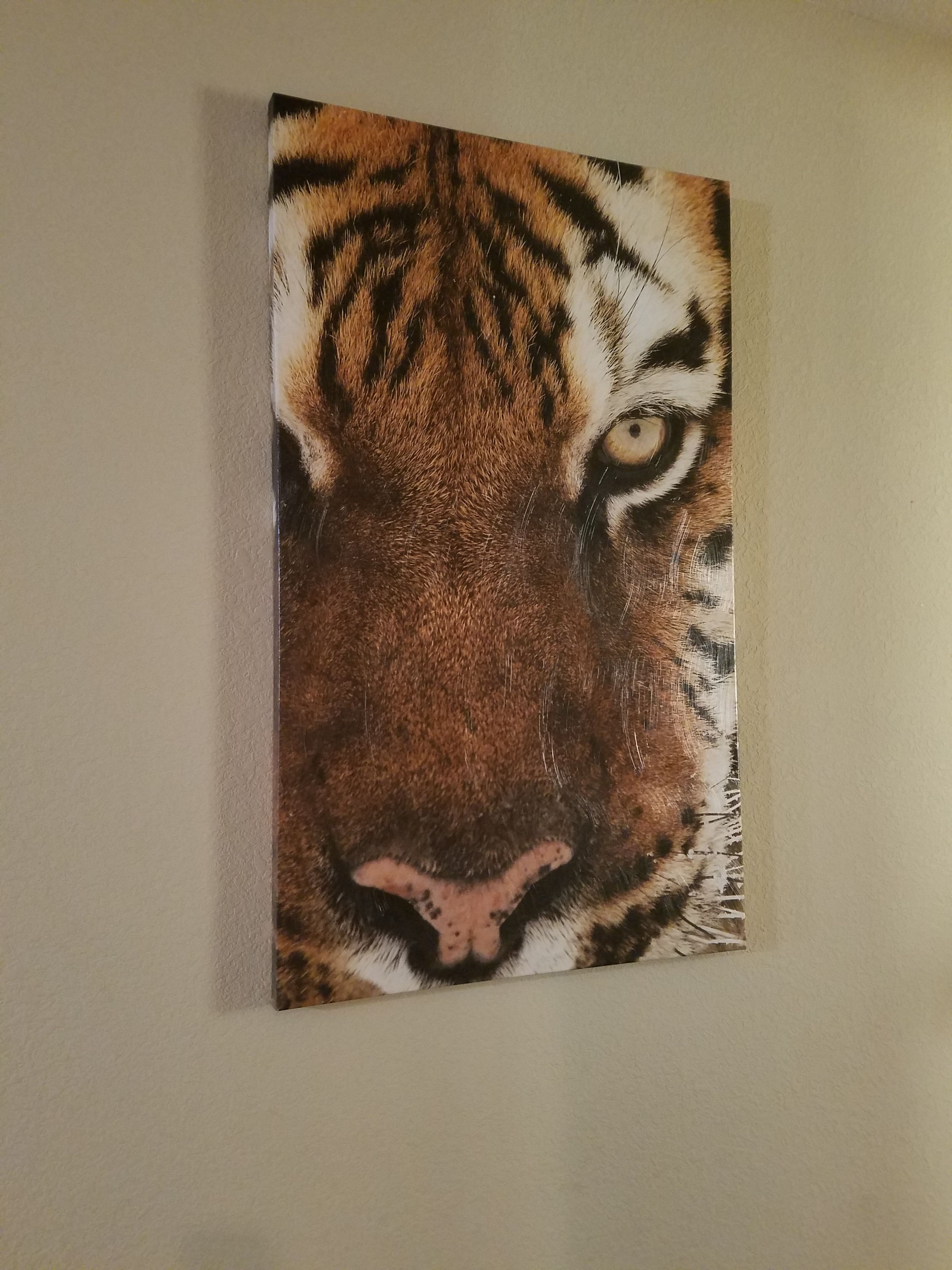 Tiger canvas