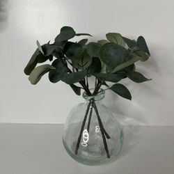 Eucalyptus Glass Vase