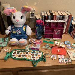 Lot Of Girl Scouts, Daisy, And Brownies, Memorabilia Buttons Pins Patches $40
