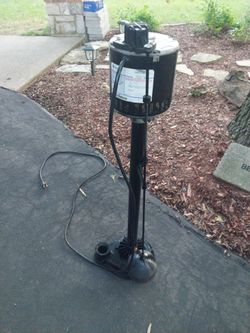 Wayne 1/3 hp stand up sump pump