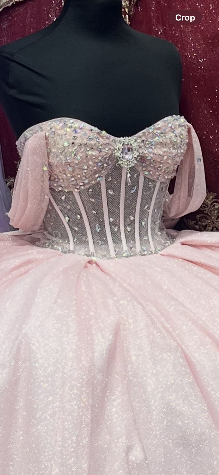 Ballroom/ Quinceanera / Sweet 16 Dress