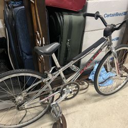 Redline BMX Mini RL-140 (20" wheels)