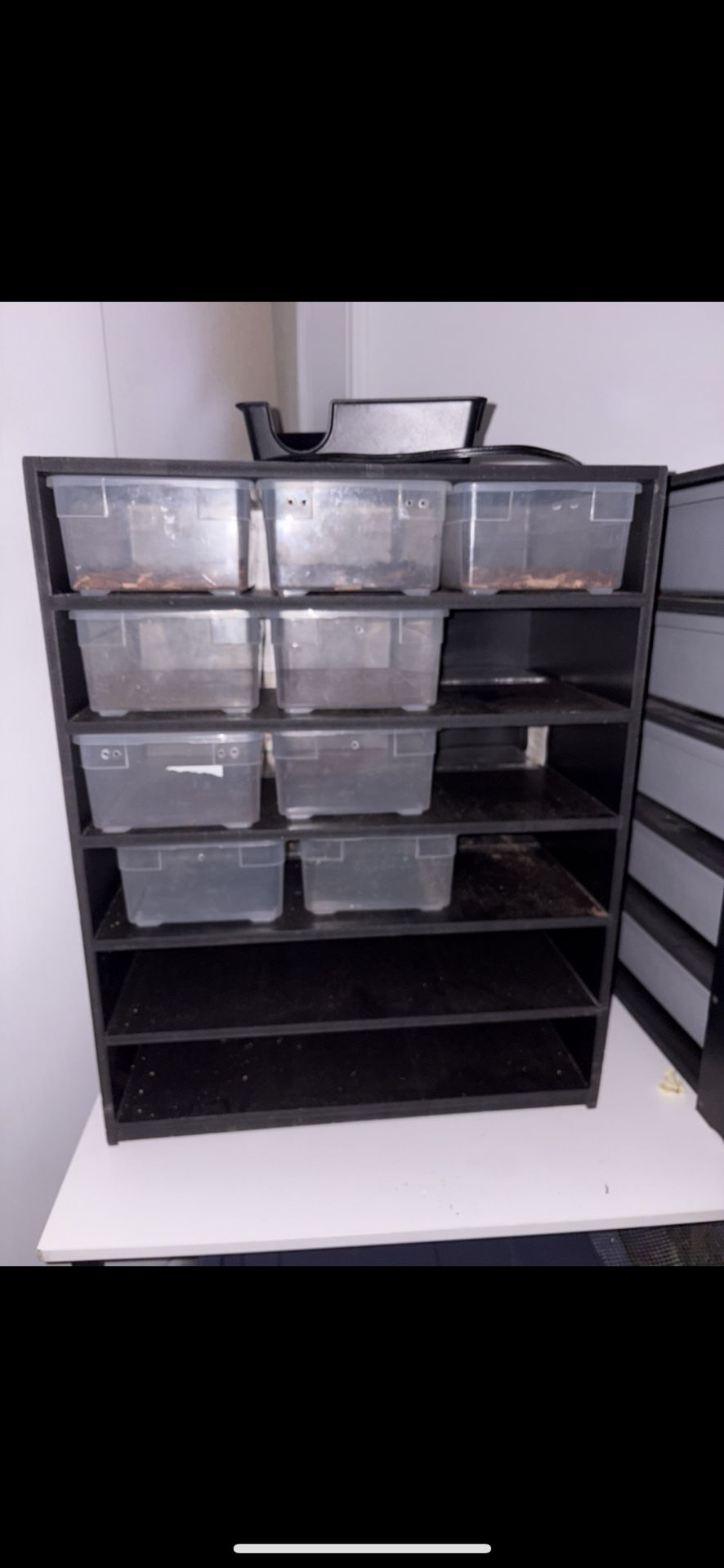 Snake Rack /hatchling Rack
