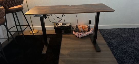 Electric Standing Desk with Wood Top