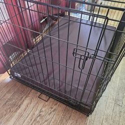 XXL Wire Dog Crate & Dog Bed