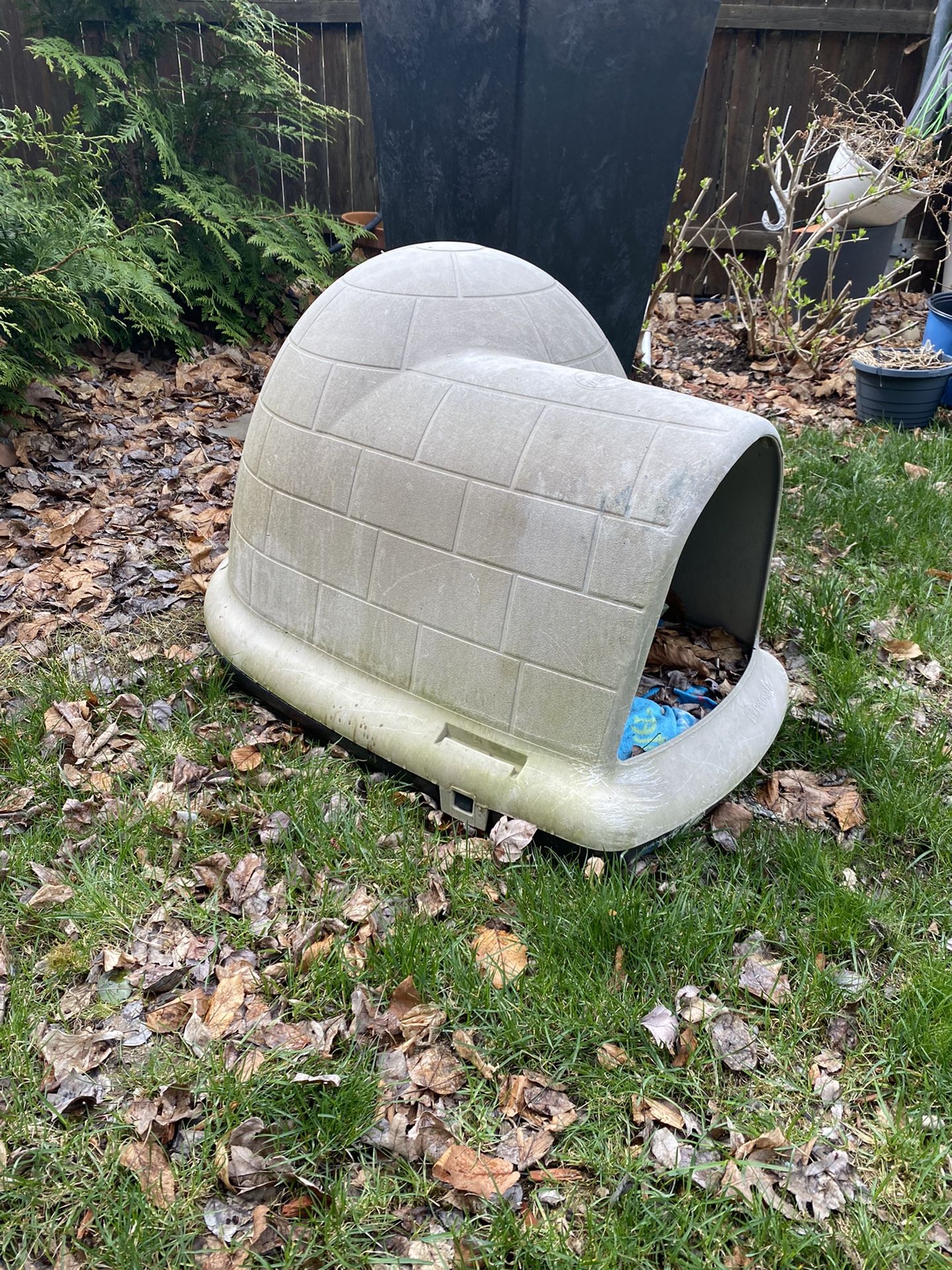 dog/cat Igloo