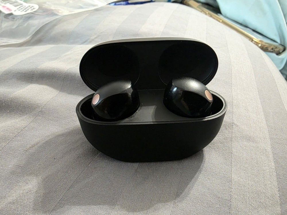 Sony Wireless Earbuds With Charging Case