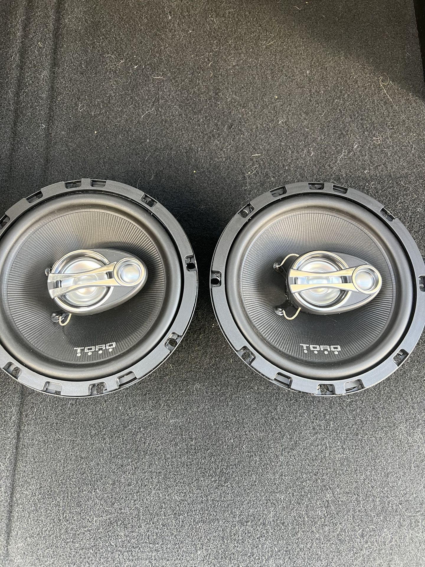 Toro Audio 6.5 Speakers