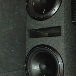 Fosgate P2s 12 In