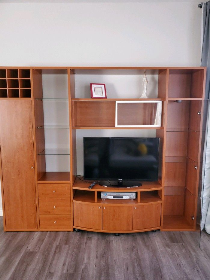 Modern Contemporary Entertainment Center