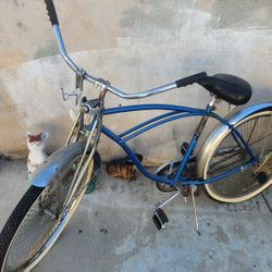 Beach Cruiser 