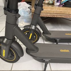 Ninebot Kickscooter Max G30P Segway New