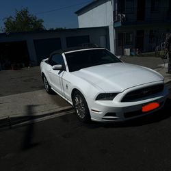 2013 Ford Mustang