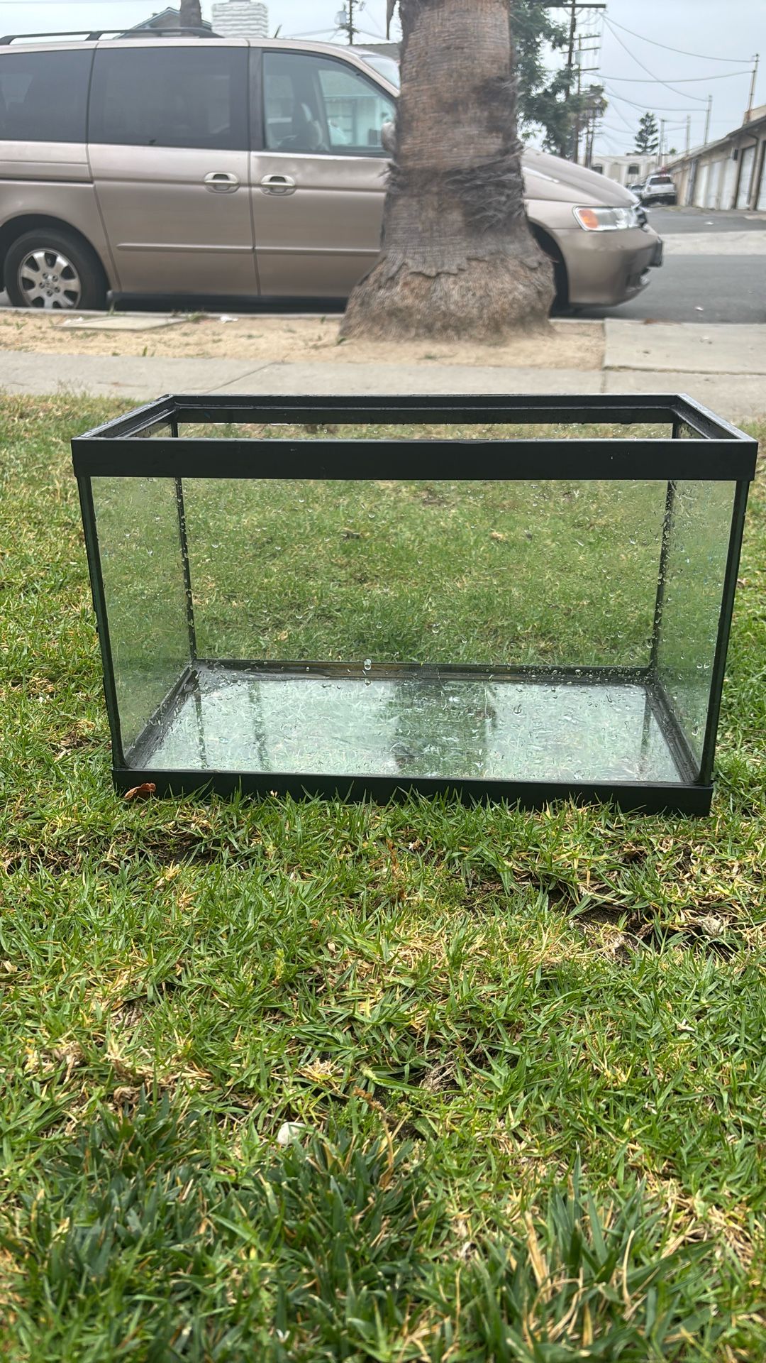 Fish tank 5gallon