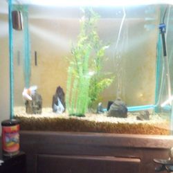 Fish Tank 50 Gallons W Stand 