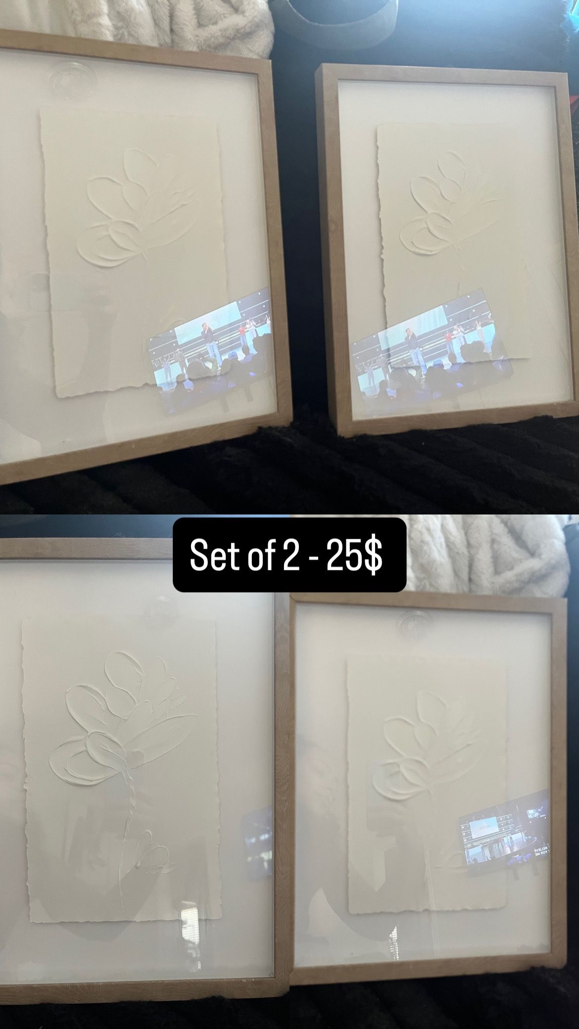 Two Floral Neutral Decor Painting