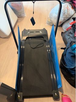 Dog treadmill