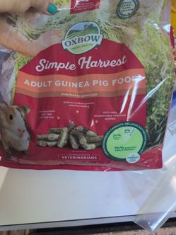 Guinea pig food