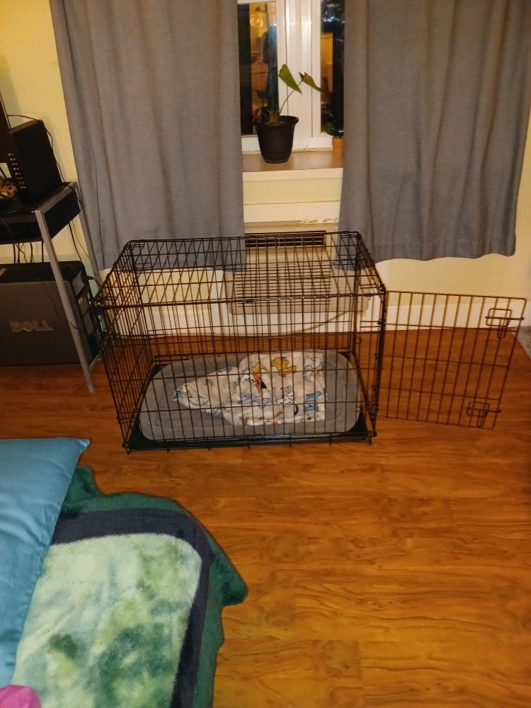 DOG KENNEL