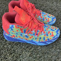 Shoes Basquetball Size 7.5