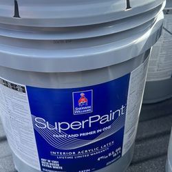 5 Gallon Bucket  Extra White Saton  Paint 