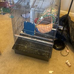 bird cage