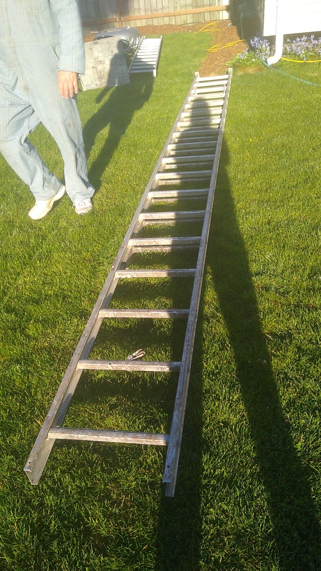 Warner 36ft aluminum extension ladder