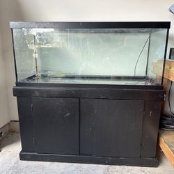 75 Gallon Tank With Stand
