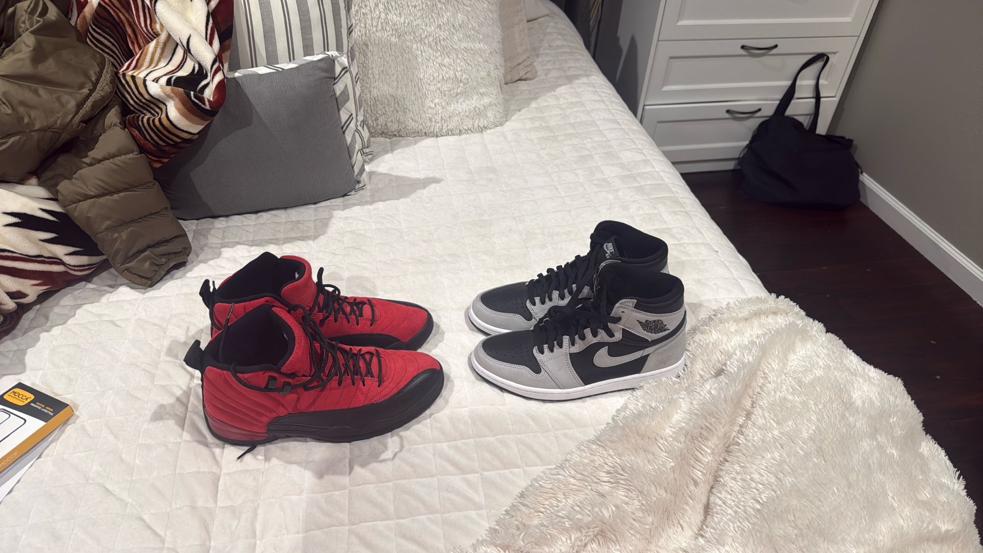 Jordan1 And Jordan’s 12