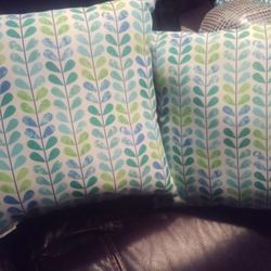 2 Throw Pillows,Outdoors Light Weight,$8For Pair2