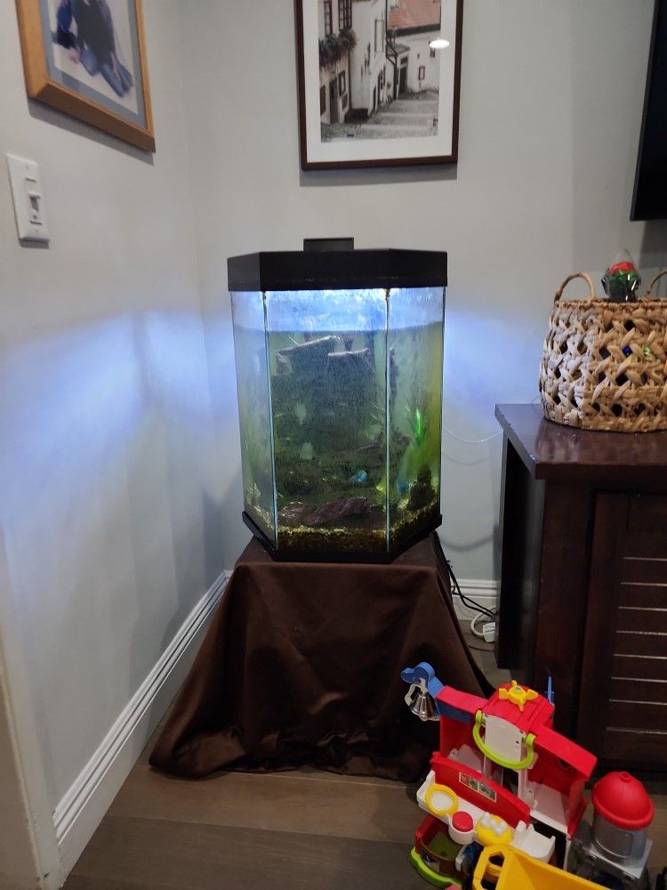 Fish Tank