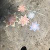 Dalia