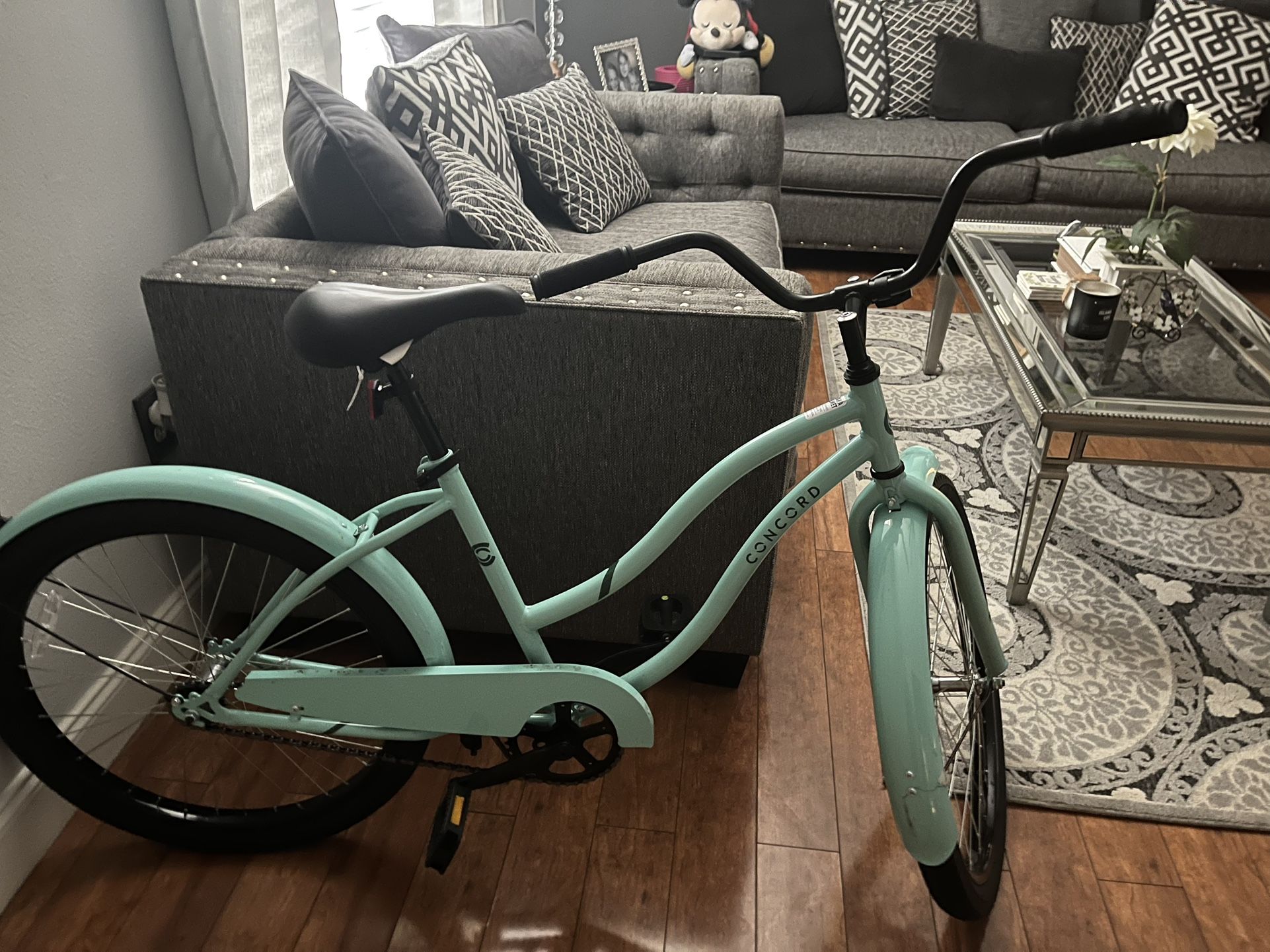 Brand New Concord Bike