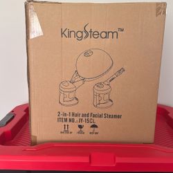 Hair and Facial Steamer