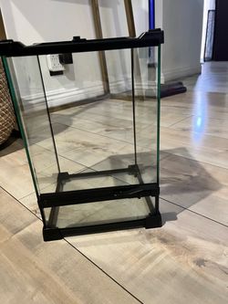 Small Glass Reptiles enclosure