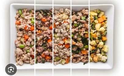 Healthy Dog meal (Helps Dogs Live Better)